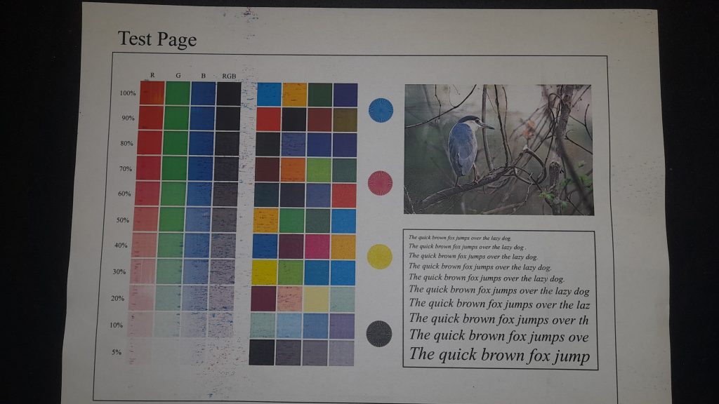 Random Toner Speckling Across the Page